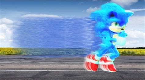 Sonic In Real Life Sonic The Hedgehog Amino