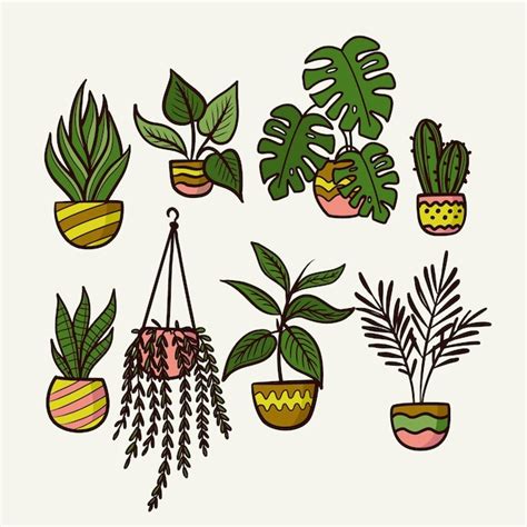 Free Vector Hand Drawn Houseplant Collection