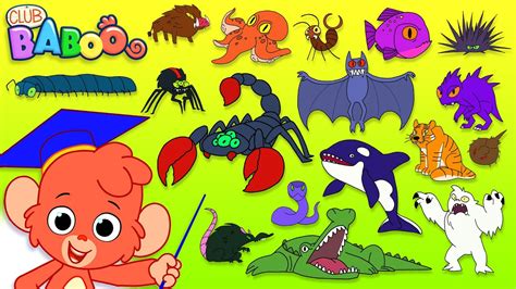 Animal Abc Learn The Alphabet With Scary Animals For Children Abcd