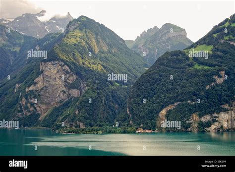 The Emerald Water Of Lake Uri Urnersee One Of The Four Basins Of