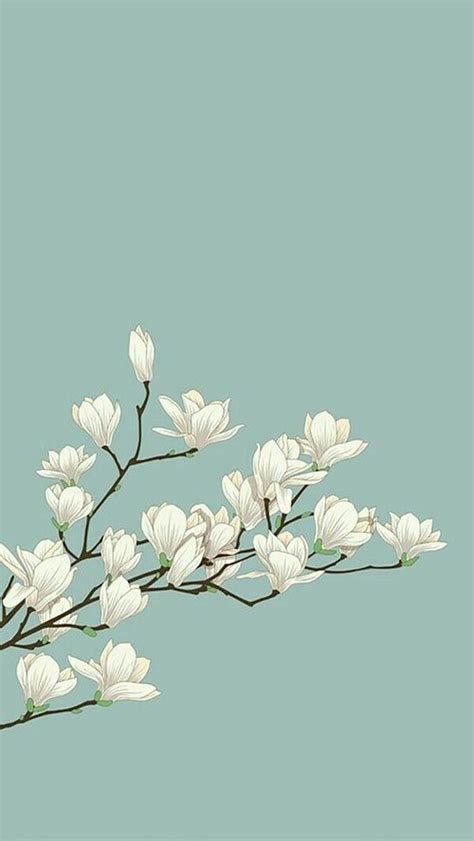 Looking for the best aesthetic wallpapers? Magnolia illustration | Flower wallpaper, Art wallpaper ...