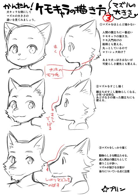 How to Draw a Furry Cat Step by Step - Stewart Beirch1951