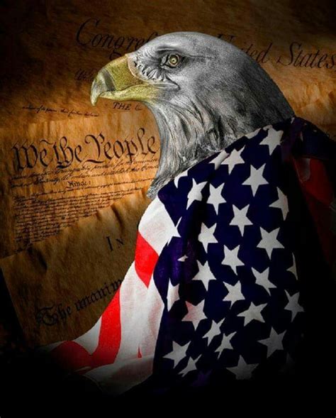 Eagle Draped In Us Flag We The People Poster Patriotic Pictures America