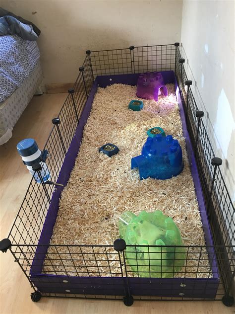 New Guinea Pig Cage Rguineapigs