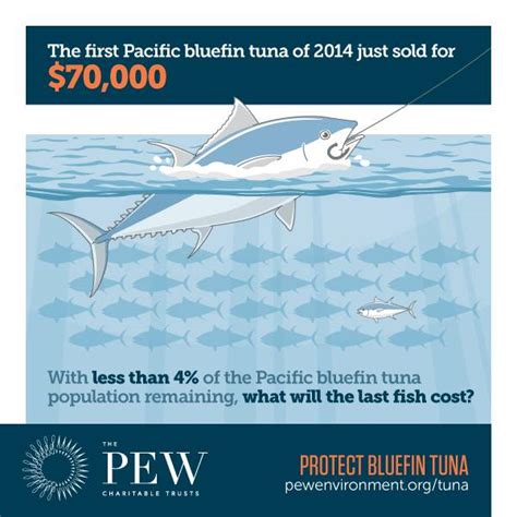 Protect The Pacific Bluefin Tuna Living Oceans Foundationliving