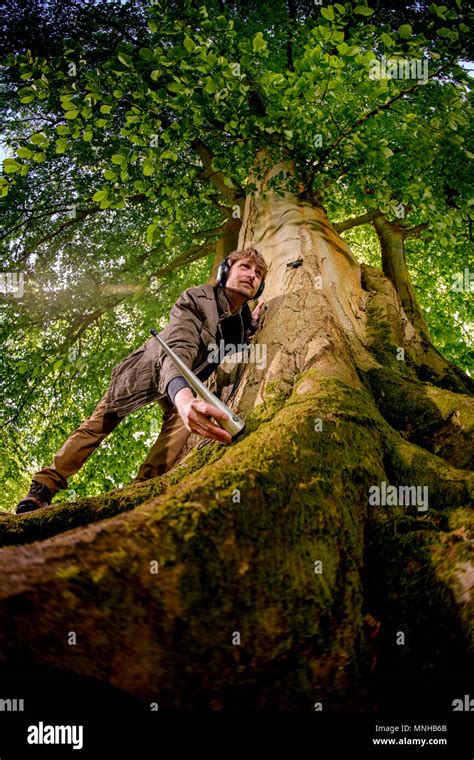 500 Acre Wood Hi Res Stock Photography And Images Alamy