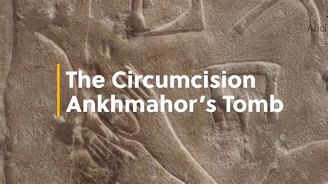 Ankhmahor’s Tomb The Circumcision Scene Youtube