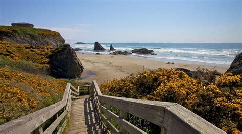 Bandon Travel Guide Best Of Bandon Oregon Travel 2024