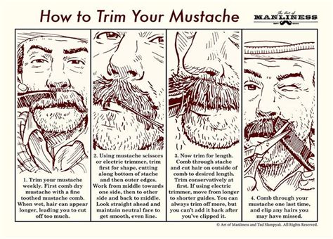 How To Trim Your Mustache An Illustrated Guide Art Of Manliness