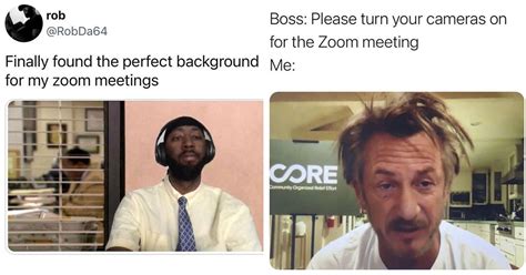 Funny Zoom Memes Video Call Humor In 2021 Memes Meeti