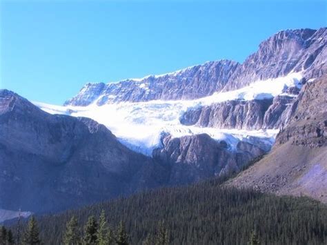 Crowfoot Glacier Banff National Park All You Need To Know Before
