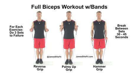 Complete Biceps Workout Using Resistance Bands Youtube