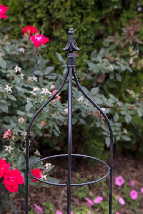 Black Metal Garden Trellis