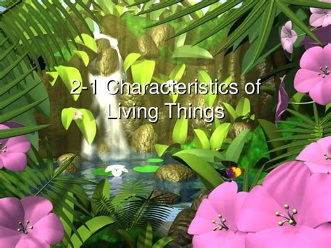 Ppt 2 1 Characteristics Of Living Things Powerpoint Presentation