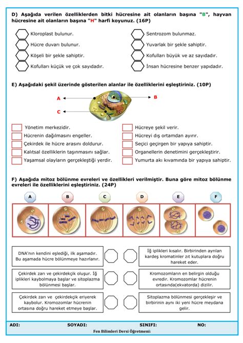 7 Sınıf Fen Bilimleri 1 Dönem 1 Yazılı Cevap Anahtarlı Evdeki Hocam