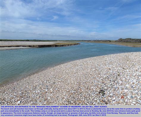 Geology Of Selsey Bill And Bracklesham Bay By Ian West