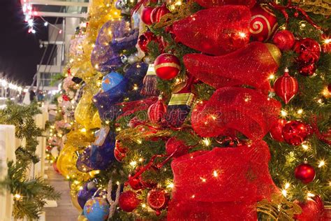 Decorated Christmas Trees On Canada Place Cruise Ship Terminal In