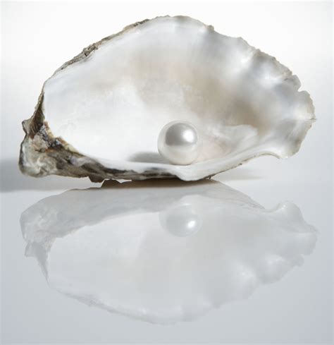 Those who are born in june are blessed with a variety of 3. June Birthstone | The Old Farmer's Almanac