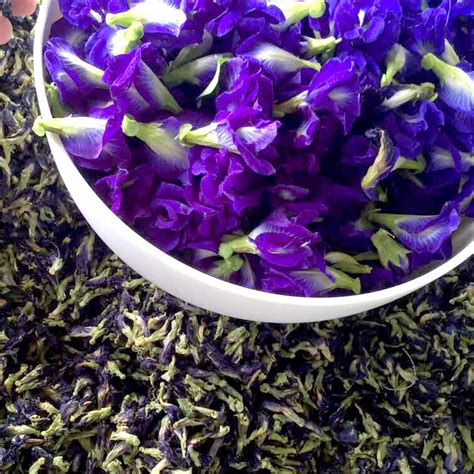 Tea from the butterfly pea is a rich blue color when steeped, and since blooms range from deep lavender to deep blue to baby pink, it changes ph levels with the addition of certain ingredients. 2017 Newest 500g Clitoria Ternatea Tea.Blue Butterfly Pea ...