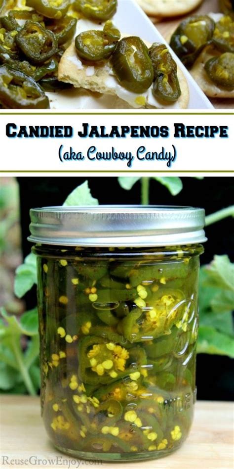 Recipe For Candied Jalapenos Aka Cowboy Candy Canning Recipe