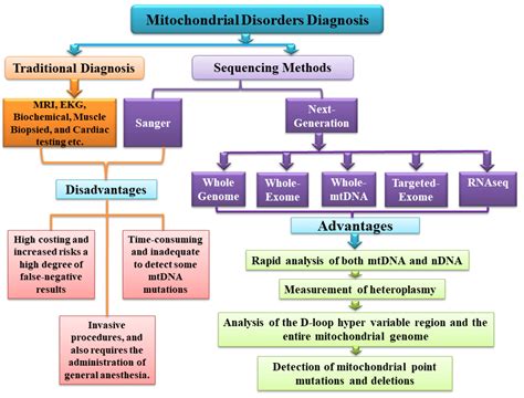 cimb free full text use of next generation sequencing for identifying mitochondrial disorders