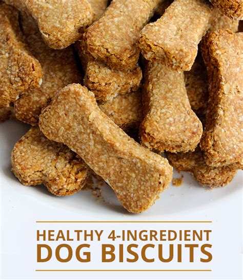 Healthy 4 Ingredient Dog Biscuits Recipe Healthy Dog Treats