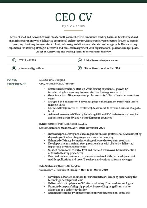 Ceo Cv Examples Template Skills To List