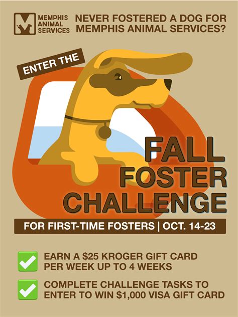 Fall Foster Challenge At Mas