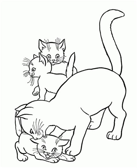Coloriage Chat Siamois 1001 Animaux