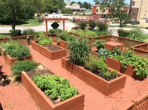 But apartment dwellers building an apartment garden can still grow plenty of vegetables once they know since growing vegetables in an apartment require containers anyway, save money on pots and use materials already available. Image result for apartments with community vegetable ...