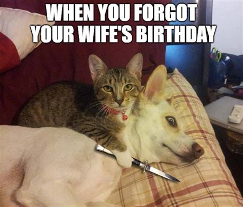 But not the guffawing alone can complete your day. 23 Awesome Happy Birthday Wife Meme - Birthday Meme