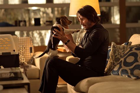 John wick 3 has continually impressed at the box office because people relate to his battle with grief. Stills - John-Wick-Stills-004 - Keanu Reeves Online ...