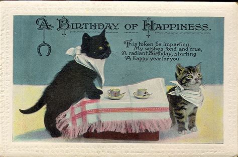 Vintage Cat Postcard 027 Kittens Vintage Cats Illustration Vintage