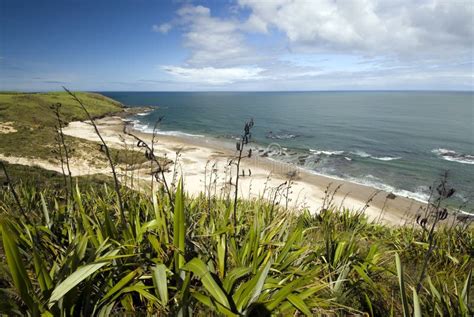 West Coast Beach North Island New Zealand Stock Image Image Of