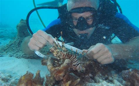 Under The Deep Blue Sea A Career In Marine Biology