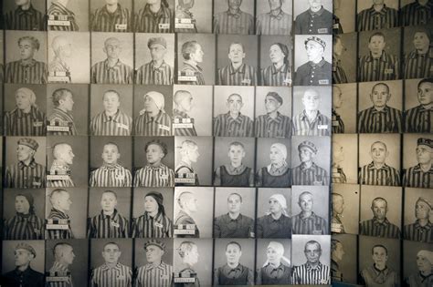 Holocaust Is Fading From Memory Survey Finds The New York Times