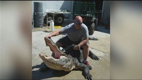 Another Record Setting Gator Is Caught
