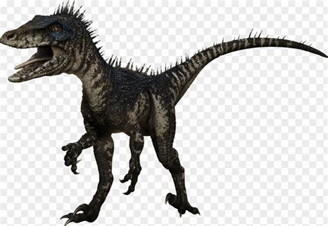 Jurassic World Deinonychus Albertosaurus Velociraptor Spinosaurus Deinosuchus Png Image Pnghero