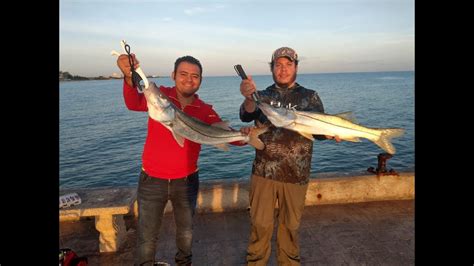 Pesca De Robalo Mi Record Personal Chuburna Yucatan Youtube