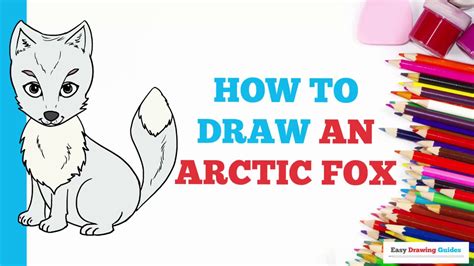 How To Draw An Arctic Fox In A Few Easy Steps Drawing Tutorial For