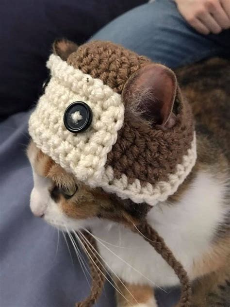 Crocheted Aviator Cat Hat Etsy