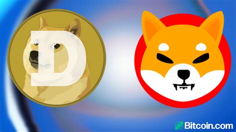 Dogecoin Latest Dogecoin News Shib Vs Doge Who Is The Top Dog In
