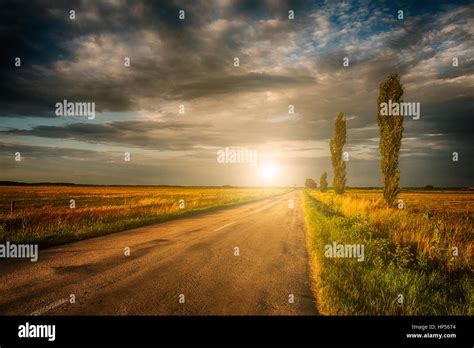 Summer Road In Sunset Stock Photo Alamy