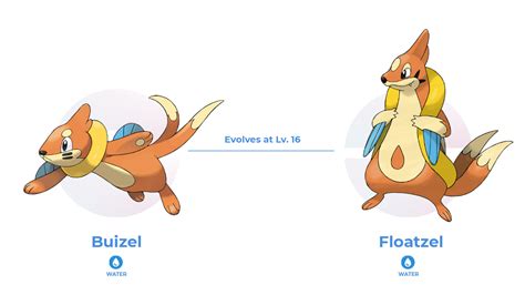 Pokémon Brilliant Diamond And Pokémon Shining Pearl Trainers Guide