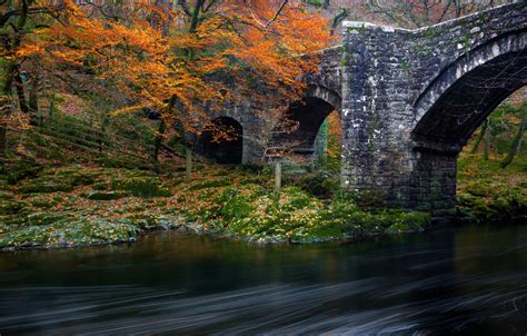 Wallpaper Autumn Forest Trees Bridge Park River Images For Desktop