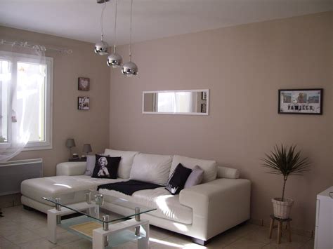 Modele de decoration peinture salon - Design en image