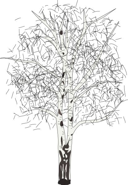 Free Birch Cliparts Download Free Birch Cliparts Png Images Free