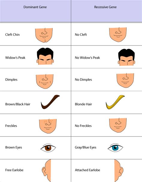 Ingeniously Useful Charts That Will Help You Have The Best Hair Of