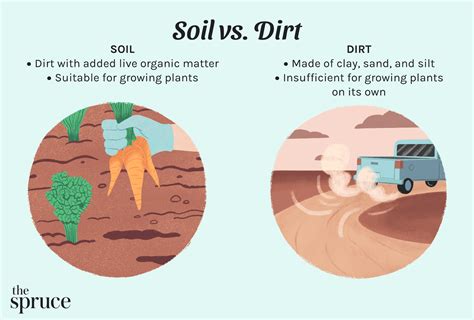 Soil Vs Dirt Whats The Difference