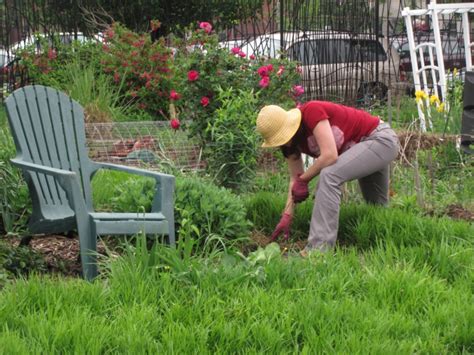 Vor dem winter müssen noch einige arbeiten im garten erledigt werden. Die Gartenarbeit als Stressabbau?